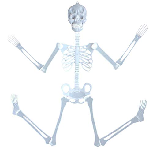 Roysberry Toys Halloween Toys - Luminous Skull Kids Puzzles Scary Halloween Toy 3D Doll Party Toys - Birthday Gift Halloween Toy Jigsaw Puzzles for Kids Ages 4-8