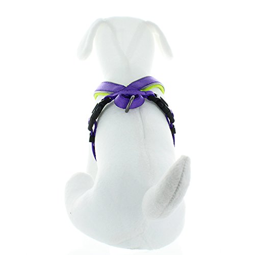 Pawtitas Pet Training Soft Adjustable Reflective Padded Puppy / Dog Harness Extra Extra Small Purple