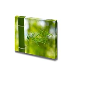 Closeup of Bamboo with Branch and Leaves Wall Decor