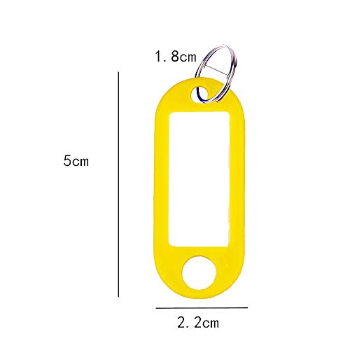 100 PCS Tags for Keys,Multi-Colored Plastic ID Tags for Keys,Key Chains with Labels,10 Different Colors