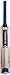GM Octane F2 Striker Kashmir Willow Cricket Bat, Short Handle