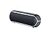 Sony SRS-XB22 Extra Bass Portable Bluetooth Speaker, Black (SRSXB22/B)