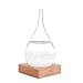 Creative Fashion Desktop Water Drop Decoration Seventeenth Century European Weather Forecast Storm Glass Weather Station (Small)