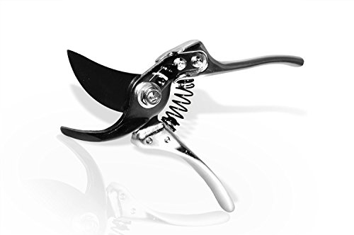 Basilica Botanica Pruning Shears - Best Gardening Tool - Thumbnail 4