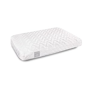 Tempur Pedic Tempur Cloud Pillow Mattress Supermarket