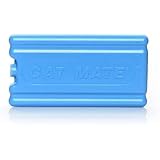 cat feeder with ice pack