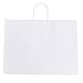 GSSUSA Large Paper Bags with Handles16x6x12 White 50Pcs, Kraft Paper Shopping Bags Bulk for Small Business, Valentines Day, Grocery, Boutique, Merchandise