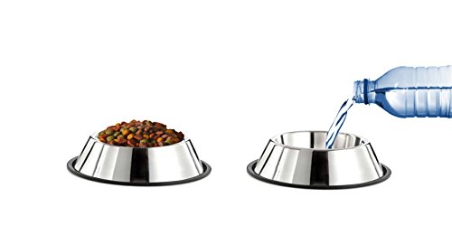 GPET-Dog-Bowl-with-Rubber-Base-Stainless-Steel-16-Ounce-Set-of-2