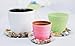 TRUEDAYS 6 Inch 5 Pack Clear Plant Saucers Flower Pot Tray Excellent for Indoor & Outdoor Plants
