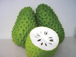 Graviola Soursop Annona Muricata Guyabano Tree Seeds Buy Online In Madagascar At Desertcart Graviola Soursop Annona Muricata Guyabano Tree Seeds Buy Online In Madagascar At Desertcart