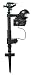 Orbit Enforcer Motion Activated Pest Deterrent Sprinkler primary