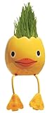Nyoki grass pet