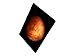 Apple iPad Pro (128GB, Wi-Fi, Space Gray) - 12.9
