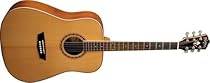 Washburn WD-11S Acoustic Guitar
