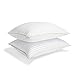 Italian Luxury Plush Gel Pillows 2100 Series (2-Pack) - Premium Quality Luxury Hotel Collection - Hypoallergenic & Dust Mite Resistant - Queen