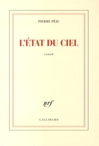 L'état du ciel: roman