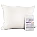 Mulberry Park 100% Silk Pillowcase - 19 Momme, Grade 6A Mulberry Silk - Deep Envelope Closure - Ivory/Queen (20'' x 30'')