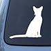 ABYSSINIAN - Cat - Vinyl Car Decal Sticker #1479 | Vinyl Color: White
