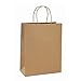 BagDream 10x5x13 25Pcs Brown Kraft Paper Bags with Handles Shopping Bags, Merchandise, Retail Bags, Party Bags, Gift Bags in Bulk, 100% Recycled Paper Gift Bags primary