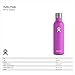 Hydro Flask 25 oz Wine Bottle - Stainless Steel & Vacuum Insulated - Leak Proof Cap - Mint