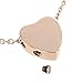 Floating Heart Rose Gold Cremation Urn Pendant Necklace Pendant & Fill Kit 316L Grade Stainless Steel (Rose Gold)