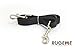 Rugeme™ Hands Free Dog Leash Set. Includes; Leash Belt, 4ft Leash & Treat Pouch. Great for Walking, Jogging Biking or Just Relaxing! (Black)