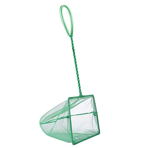 small fish tank net