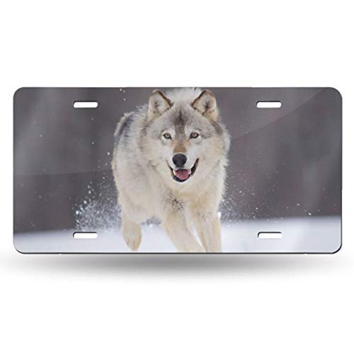 Beautiful Wolf Eyes Durable Front License Plate Decorative Funny