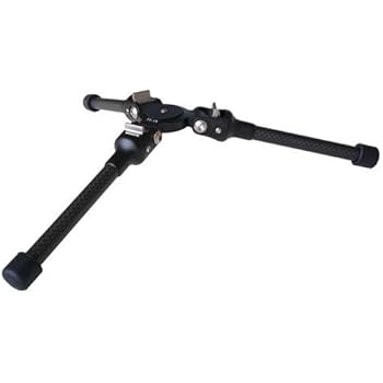 Amazon.com : FEISOL Mini Tripod TT-15 Mark 2 : Camera & Photo