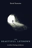 The Beautiful Letdown: An Addict's Theology of Addiction by David Tremaine