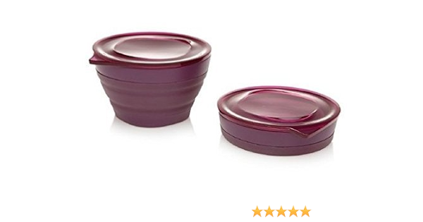 Amazon Com Aladdin 2 Collapsible Mini Bowl Set 4oz Lunch Size Eggplant Pack Of 1 Pet Supplies