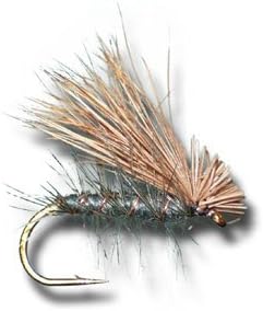 Amazon Com Elk Hair Caddis Gray Fly Fishing Fly Dry Fishing