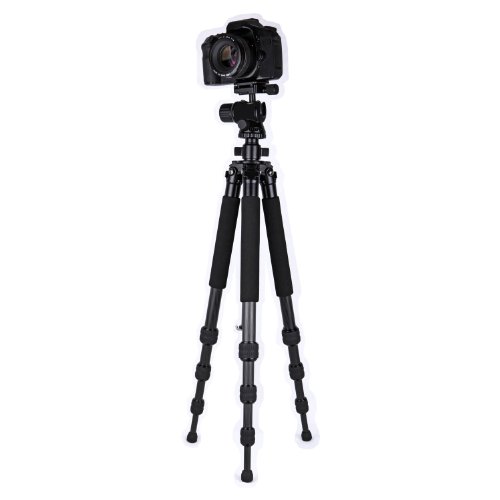 Dolica ZX600B300 Proline ZX Series 60-Inch Carbon Fiber Tripod with Ball Head