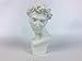 Torino Mini David Head Plaster Cast Mannequin, Great for Artists, Artistic piece, Color: White, Size: 5