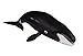 Safari Ltd. Bowhead Whale Figurine - Detailed 8.25