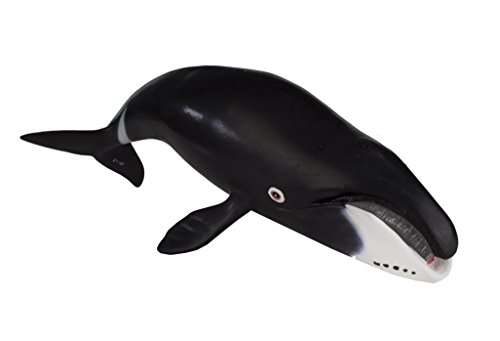 Bowhead Whale