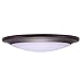 GetInLight 6 Inch LED Disk Light, Dimmable, Flush Mount or Recessed, Soft White 3000K, Matte Bronze Finish, ETL Listed, Wet Location Rated, IN-0301-3-BZ