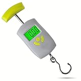 Mini Portable Scale Portable Electronic Scale