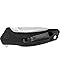 Kershaw Link Folding Pocket Knife (1776); 3.25 In. 420HC Stainless Steel Blade with Glass-Filled Nylon Handle, Reversible Pocketclip and SpeedSafe Assisted Opening; 4 oz., 7.6 In. Overall Length