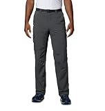 Columbia Men's Men's Silver Ridge Cargo Pant , Grill, 32x32