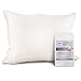 Mulberry Park 100% Silk Pillowcase - 19 Momme, Grade 6A Mulberry Silk - Deep Envelope Closure - Ivory/King (20'' x 36'')