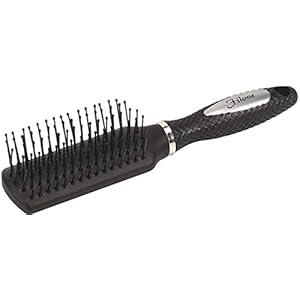 Filone 2003 Purse Brush, Black