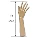 BHD BEAUTY Mannequin Hand Display Jewelry Bracelet Necklace Ring Glove Stand Holder 14
