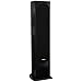 Pioneer Andrew Jones Designed Floorstanding Loudspeaker Each 2 Pack (SP-FS52) with 4