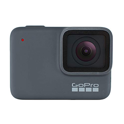 1 GoPro+Silver+Waterproof+MicroSDHC+Flexible