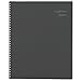 DayMinder Academic Year Monthly Planner, July 2016 - June 2017, 8-1/2