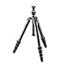 Gitzo GT1555T Series 1 Carbon 5 Sections Traveler Tripod (Black)