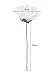 Leegoal 20pcs Artificial Rose Flowers Bridal Wedding Bouquets
