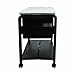 Advantus Innovative Storage SpaceMaker™ Fold 'N Roll™ Cart System, 21 3/4