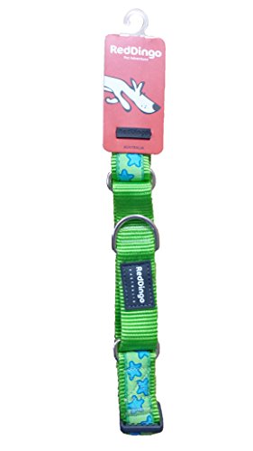 Red Dingo Martingale Lime Green with Turquoise Stars Collar, Small-Medium